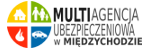 Multiagencja Ubezpieczeniowa - Międzychód, Lucyna Kaźmierczak